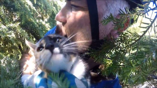 Auf die Katze gekommen: Baumpfleger haben umgeschult