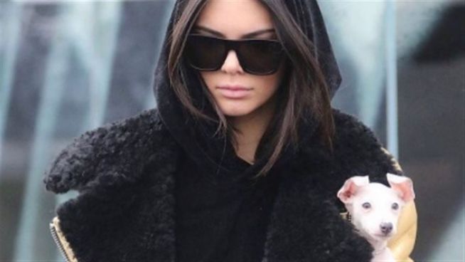 Kendall Jenner kauft Luxus-Anwesen von Charlie Sheen